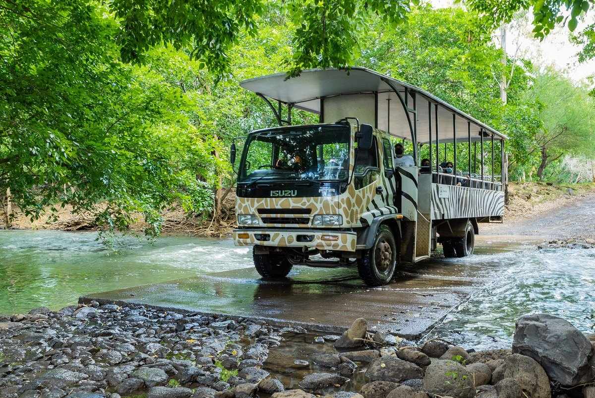 Safari Truck 