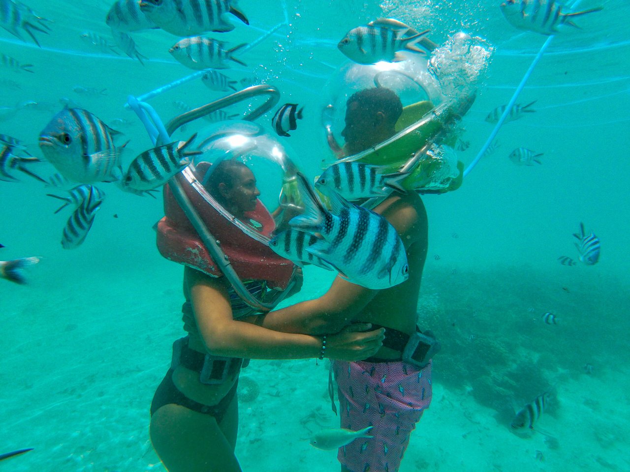 Undersea Walk