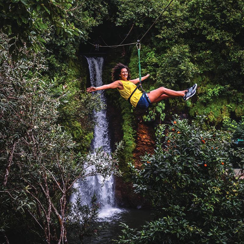 Zipline
