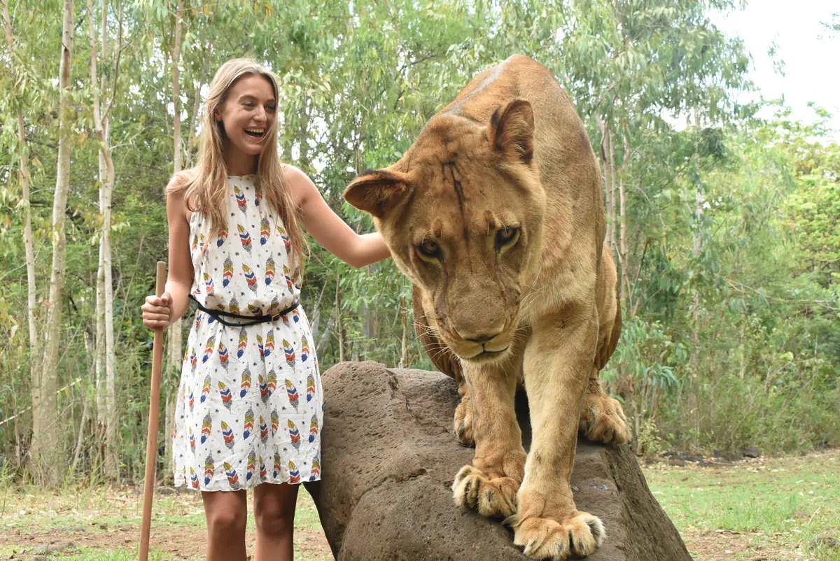 Walk with Lion
